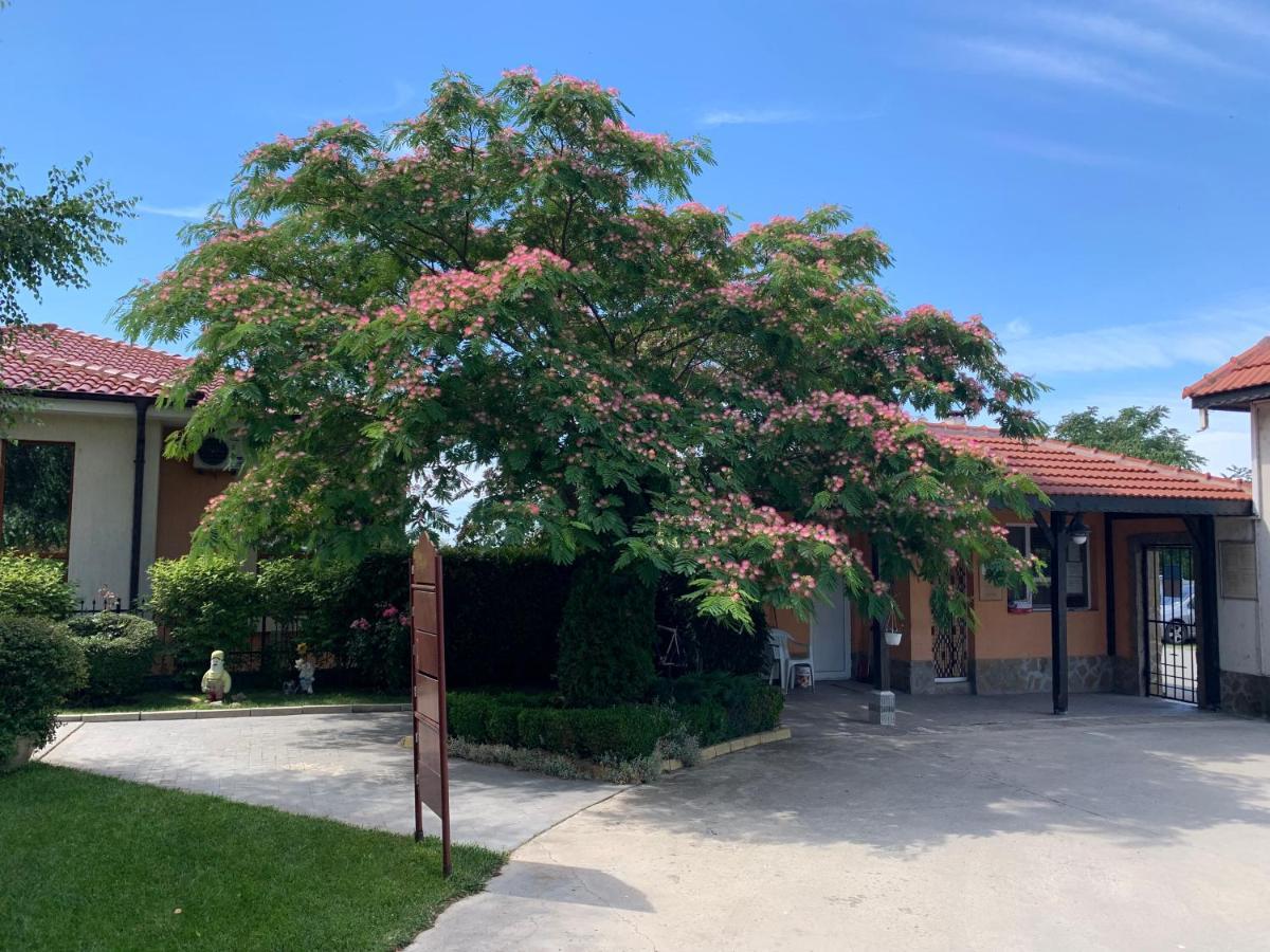 Apartcomplex Chateau Aheloy Esterno foto